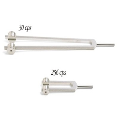 ZANC70120 DIAPASONES JUEGO TUNING FORKS